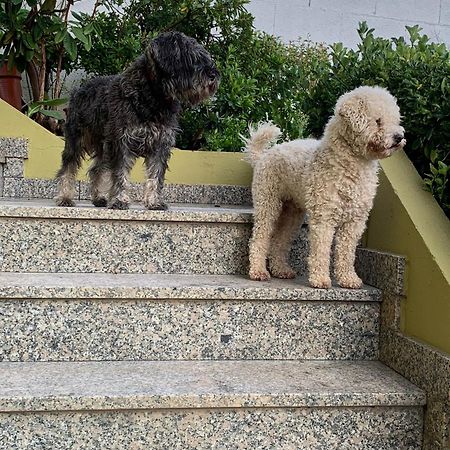شقة Corazon Do Val Da Lourina-Area Vigo بونتيفيذرا المظهر الخارجي الصورة